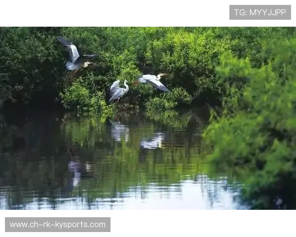 _生态自行车园：绿色出行与自然亲密接触_，生态园自助餐厅怎么样